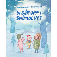 Jenny Holmqvist Vi går upp i snömolnet (inbunden)