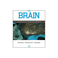 Elsevier Science Publishing Co Inc The Brain (inbunden, eng)