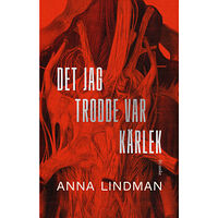 Anna Lindman Det jag trodde var kärlek : en bok om psykiskt våld (inbunden)