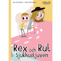 Eva Salqvist Sjukhustjuven (inbunden)
