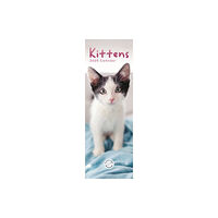 Carousel Calendars Kittens Slim Calendar 2025