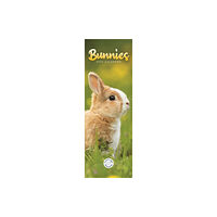 Carousel Calendars Bunnies Slim Calendar 2025