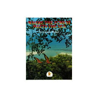 Walker Books Ltd Where the Forest Meets the Sea (häftad, eng)