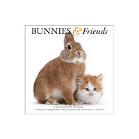 Gladstone Media Bunnies & Friends Square Wall Calendar 2025