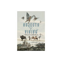 Pennsylvania State University Press Objects of Vision (häftad, eng)