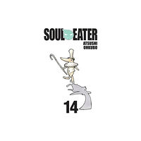 Little, Brown & Company Soul Eater, Vol. 14 (häftad, eng)