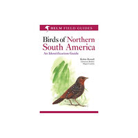Bloomsbury Publishing PLC Birds of Northern South America: An Identification Guide (häftad, eng)