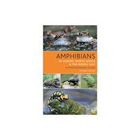 Bloomsbury Publishing PLC Amphibians of Europe, North Africa and the Middle East (häftad, eng)