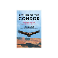 Rowman & littlefield Return of the Condor (häftad, eng)