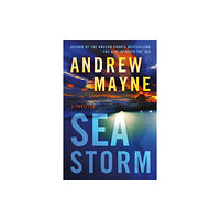 Amazon Publishing Sea Storm (häftad, eng)