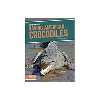 North Star Editions Saving Animals: Saving American Crocodiles (inbunden, eng)