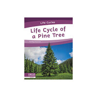 North Star Editions Life Cycles: Life Cycle of a Pine Tree (inbunden, eng)