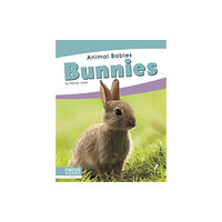 North Star Editions Animal Babies: Bunnies (inbunden, eng)