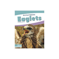 North Star Editions Animal Babies: Eaglets (inbunden, eng)