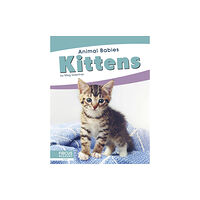 North Star Editions Animal Babies: Kittens (inbunden, eng)