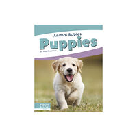 North Star Editions Animal Babies: Puppies (inbunden, eng)