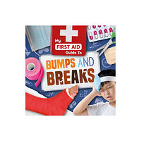 BookLife Publishing Bumps and Breaks (inbunden, eng)