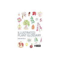 CABI Publishing Illustrated Plant Glossary (häftad, eng)