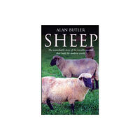 Collective Ink Sheep – The remarkable story of the humble animal that built the modern world. (häftad, eng)