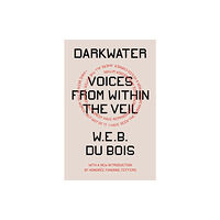 Verso Books Darkwater (häftad, eng)