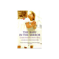 Granta Books The Baby In The Mirror (häftad, eng)