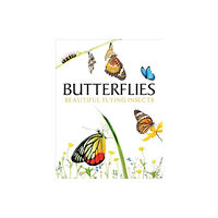 Amber Books Ltd Butterflies (inbunden, eng)