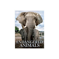 Amber Books Ltd Endangered Animals (inbunden, eng)