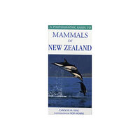 Upstart Press Ltd Photographic Guide To Mammals Of New Zealand (häftad, eng)