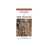 Upstart Press Ltd Photographic Guide To Spiders Of New Zealand (häftad, eng)