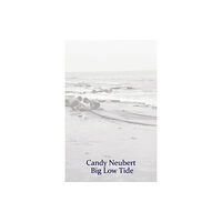 Poetry Wales Press Big Low Tide (häftad, eng)