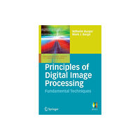 Springer London Ltd Principles of Digital Image Processing (häftad, eng)