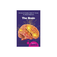 Oneworld Publications The Brain (häftad, eng)