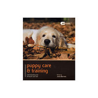 Magnet & Steel Publishing Ltd Puppy Training & Care - Pet Friendly (häftad, eng)