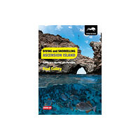 Dived Up Publications Diving and Snorkelling Ascension Island (häftad, eng)