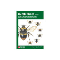 Pelagic Publishing Bumblebees (häftad, eng)