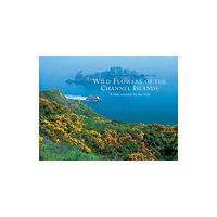 Chris Andrews Publications Ltd Wild Flowers of the Channel Islands Little Souvenir (inbunden, eng)