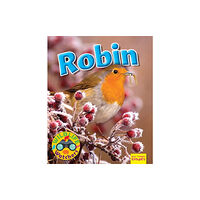 Ruby Tuesday Books Ltd Wildlife Watchers: Robin (häftad, eng)