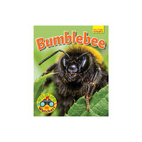 Ruby Tuesday Books Ltd Wildlife Watchers: Bumblebee (häftad, eng)