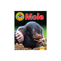 Ruby Tuesday Books Ltd Wildlife Watchers: Mole (häftad, eng)