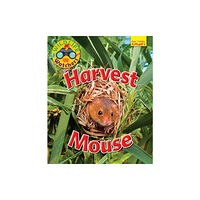 Ruby Tuesday Books Ltd Wildlife Watchers: Harvest Mouse (häftad, eng)