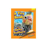 Ruby Tuesday Books Ltd Whose Little Baby Are You? A Tiny Beak and Spiky Feathers (häftad, eng)