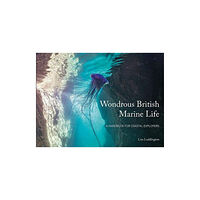 Pesda Press Wondrous British Marine Life (häftad, eng)