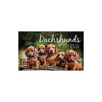 Gemini Books Group Ltd Dachshunds (inbunden, eng)