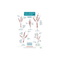 Field Studies Council Guide to British bird tracks and signs (häftad, eng)