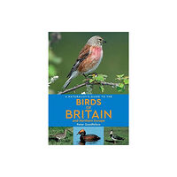 John Beaufoy Publishing Ltd A Naturalist's Guide to the Birds of Britain and Northern Europe (2nd edition) (häftad, eng)