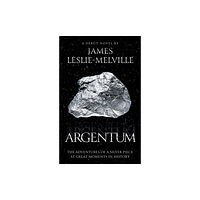 The Book Guild Ltd Argentum (häftad, eng)