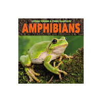 The Secret Book Company Amphibians (häftad, eng)