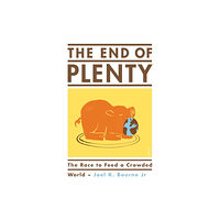 Scribe Publications The End of Plenty (häftad, eng)