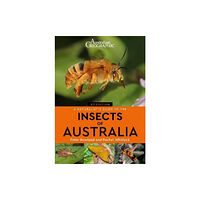 John Beaufoy Publishing Ltd A Naturalist's Guide to the Insects of Australia (häftad, eng)