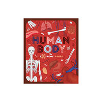 The Secret Book Company Human Body (häftad, eng)